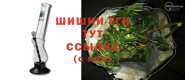 гидра Няндома