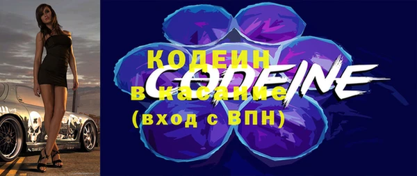 гидра Няндома