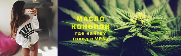 гидра Няндома