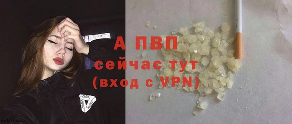 гидра Няндома