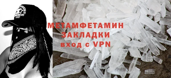 гидра Няндома