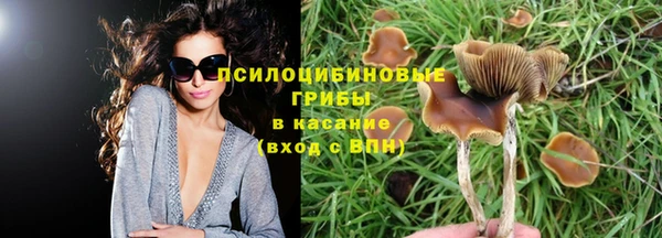 PSILOCYBIN Грязовец