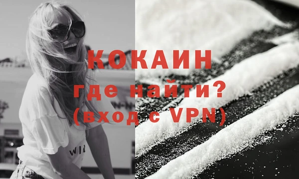 гидра Няндома