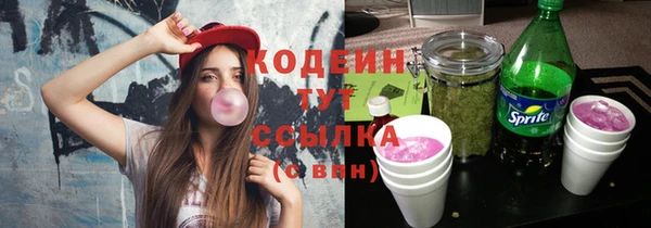 гидра Няндома