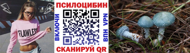 Псилоцибиновые грибы мухоморы  купить наркотики сайты  Корсаков 