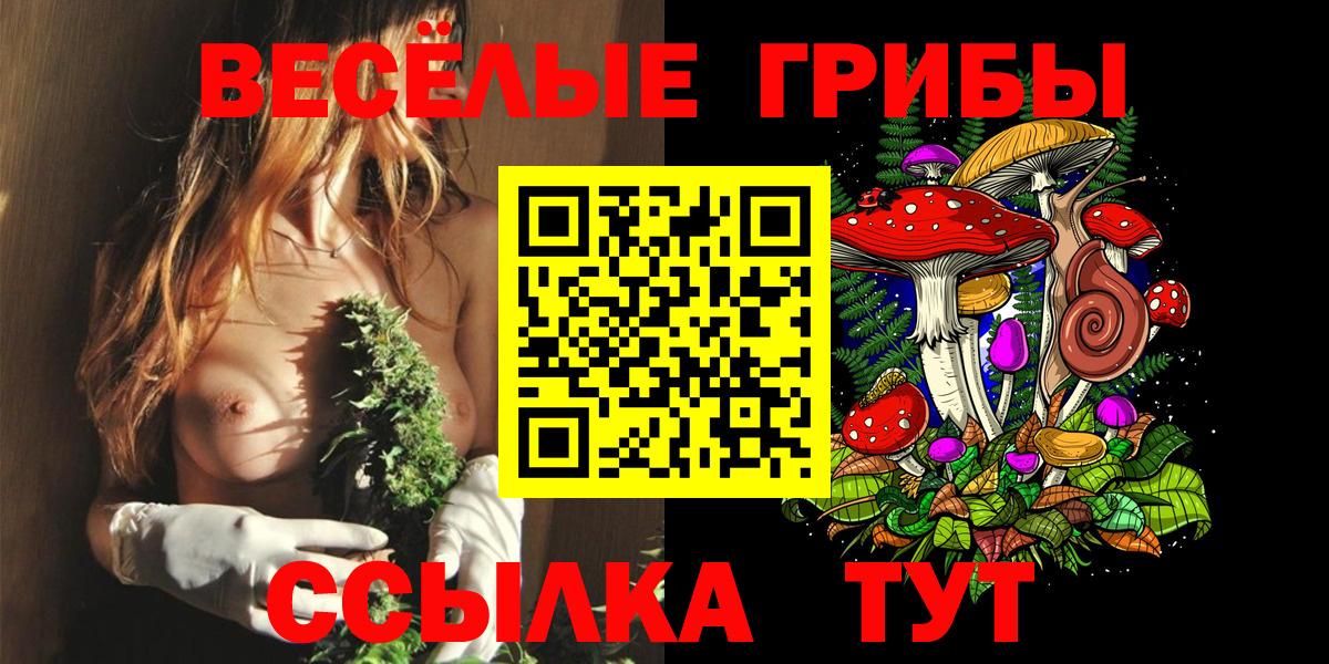 Псилоцибиновые грибы прущие грибы Корсаков