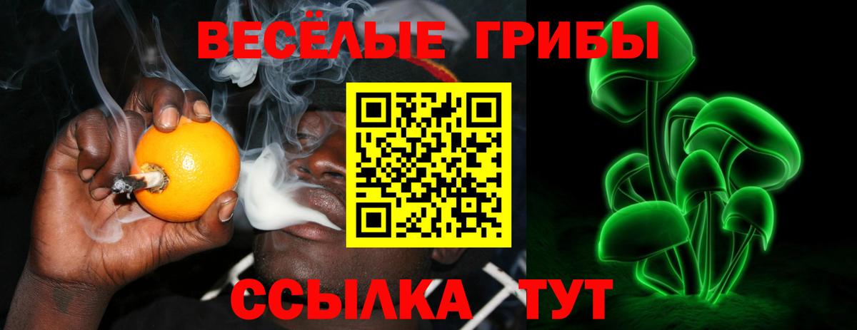Галлюциногенные грибы Cubensis  Вход с VPN  Корсаков  Галлюциногенные грибы Cubensis 