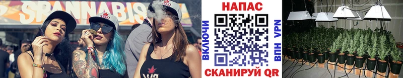 Бошки Шишки THC 21% Корсаков
